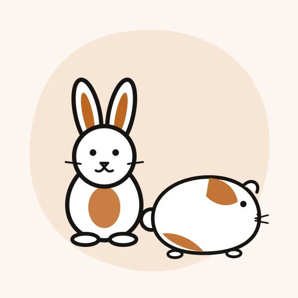 Illustration of a rabbit and a guinea pig in the Pet Vibe style