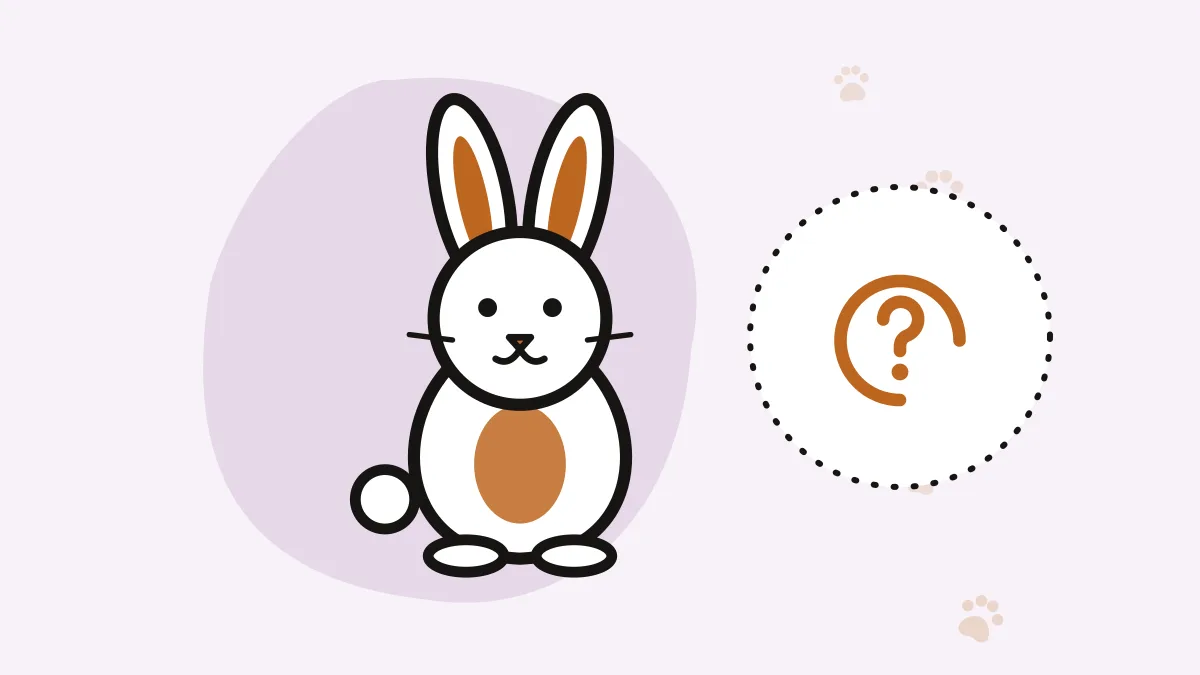 Illustration of a rabbit with a behavior question mark icon